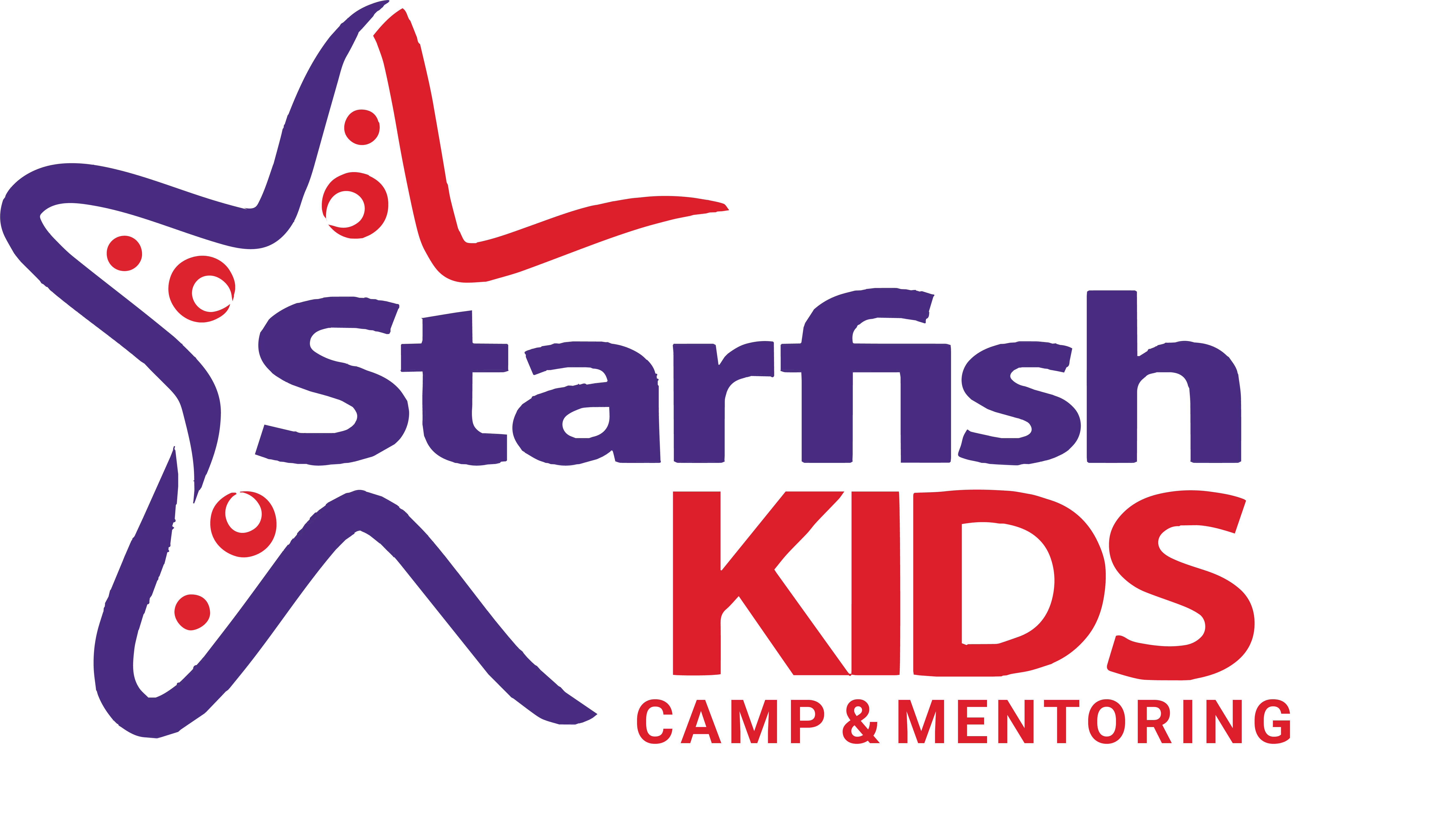 Starfish Camp   Mentoring (fix